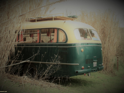 Старый автобус в камышах Португалии, фото Стасмир, photo Stasmir